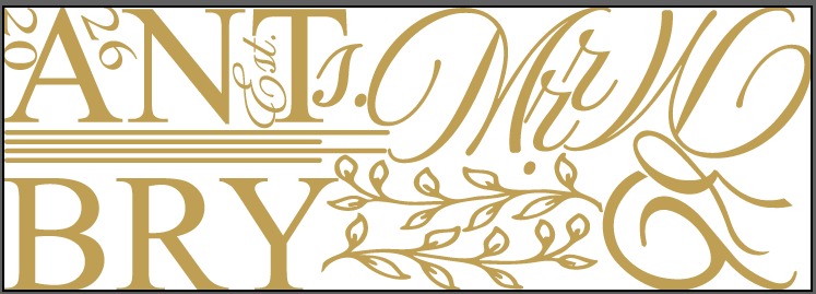 Pista de baile
Boda Mr & Mrs Bryant — detalle